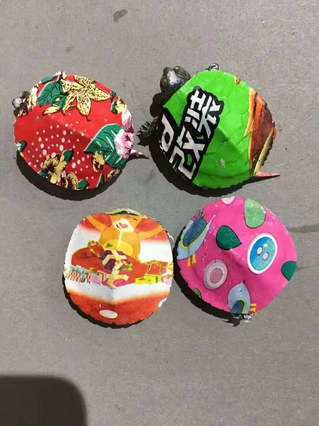 ߲Сڹ